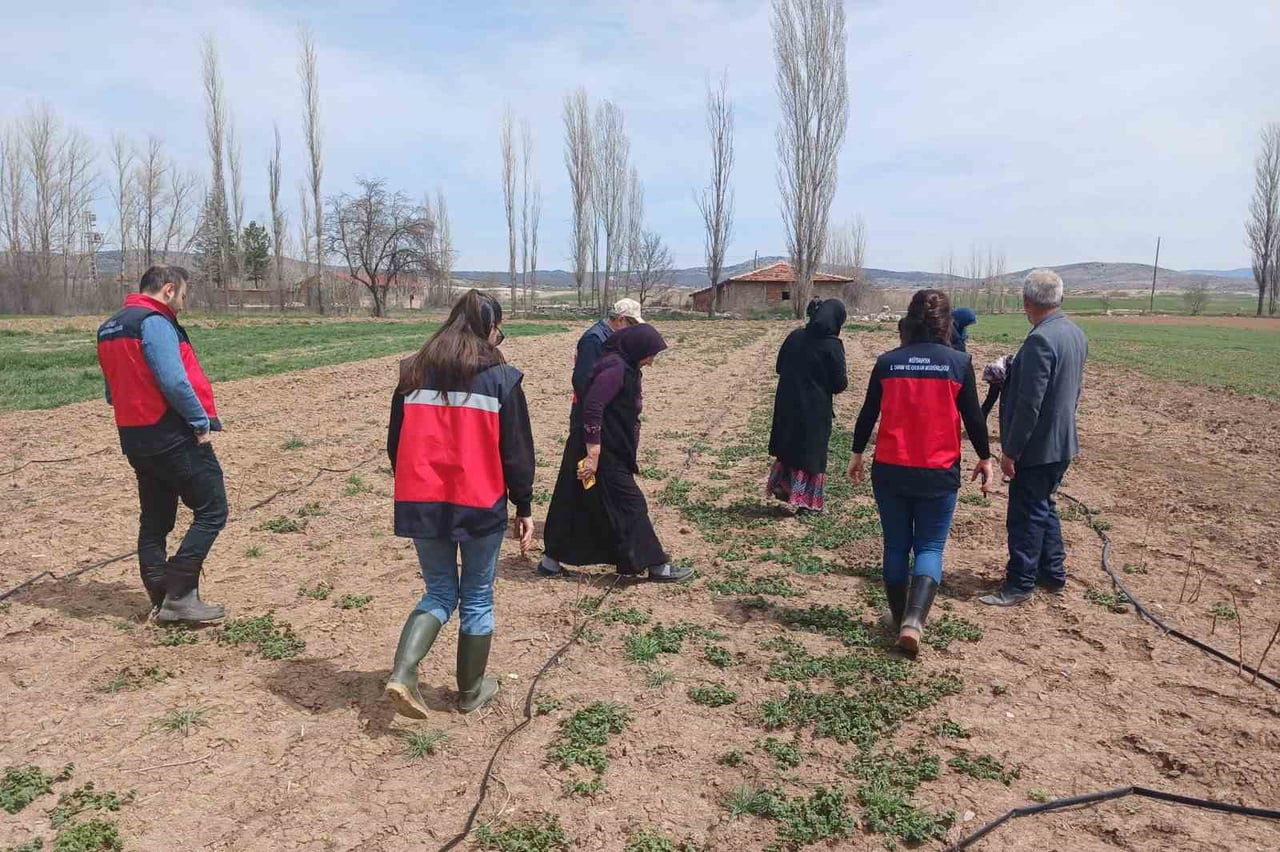 ASLANAPA’DA ÇİFTÇİLERE YÖNELİK EĞİTİM VE SAHA ÇALIŞMALARI GERÇEKLEŞTİRİLDİ