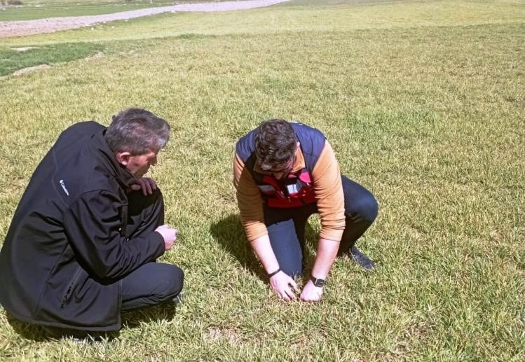 ASLANAPA’DA SOĞUKTAN ZARAR GÖREN HUBUBAT EKİLİ ALANLARDA İNCELEME