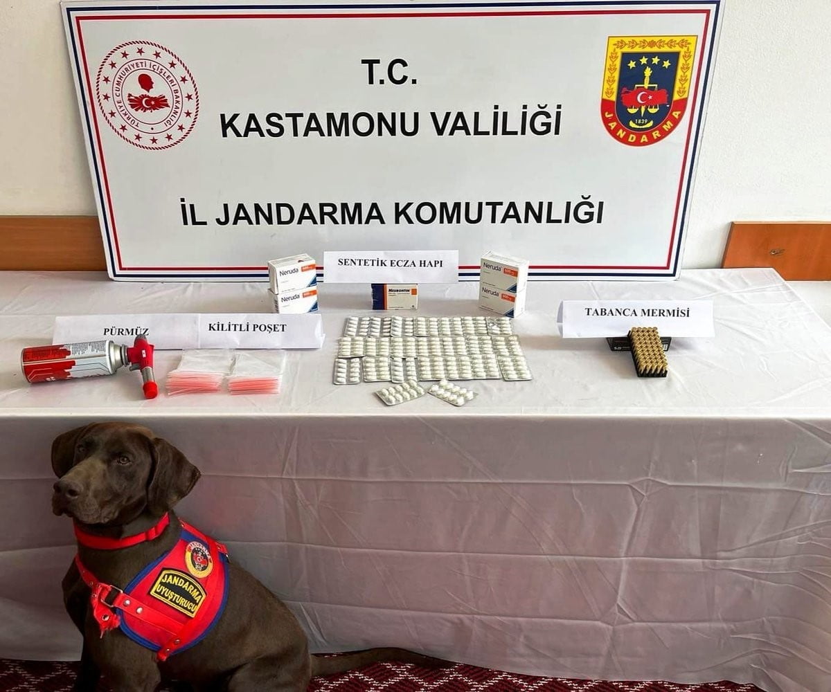 ASTAMONU'DA JANDARMA EKİPLERİ TARAFINDAN GERÇEKLEŞTİRİLEN UYUŞTURUCU OPERASYONUNDA GÖZALTINA...