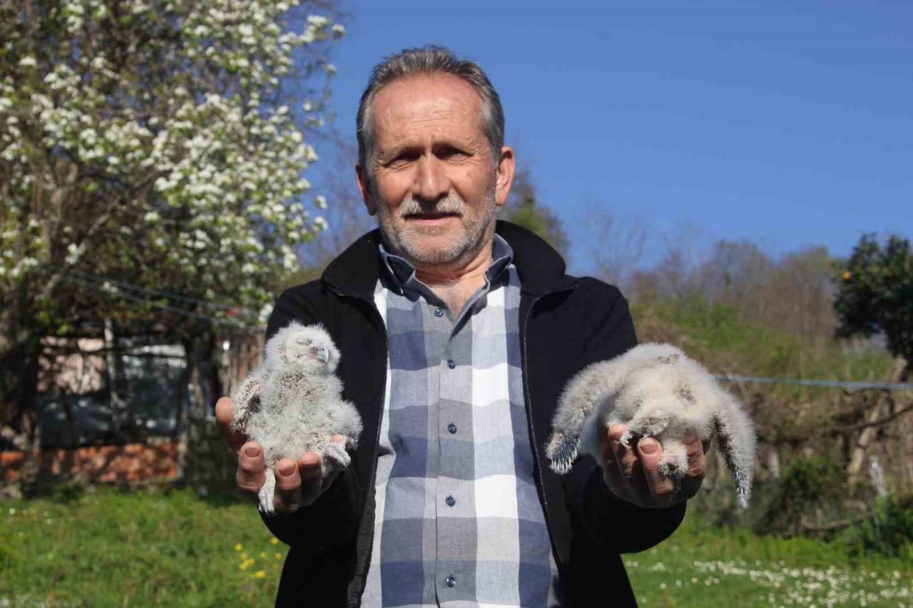 ATİLLA KARAKAYA, "BEN BU HAYVANIN YUVASINI BOZMADIM, HATTA BAYKUŞLAR İÇİN SERENDİYİ ORADAN...