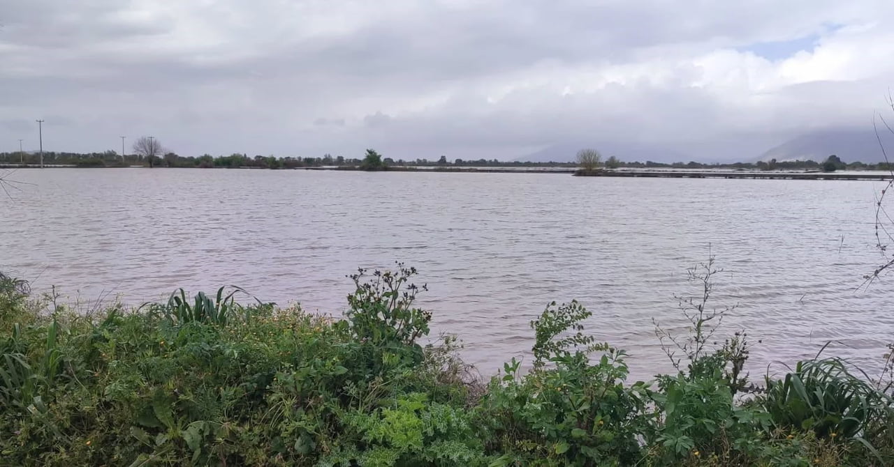 AYDIN'IN GERMENCİK VE İNCİRLİOVA İLÇELERİNDE ETKİLİ OLAN SAĞANAK YAĞIŞIN ARDINDAN SU BASAN...