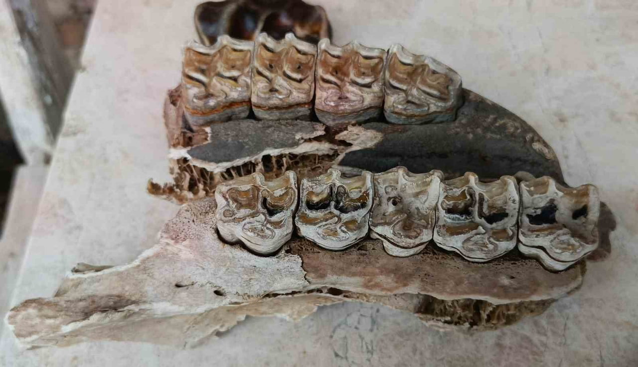 AYDIN'IN KUŞADASI İLÇESİNDE ETKİLİ OLAN YOĞUN YAĞIŞ VE FIRTINANIN ARDINDAN KIYILARDA ORTAYA ÇIKAN...