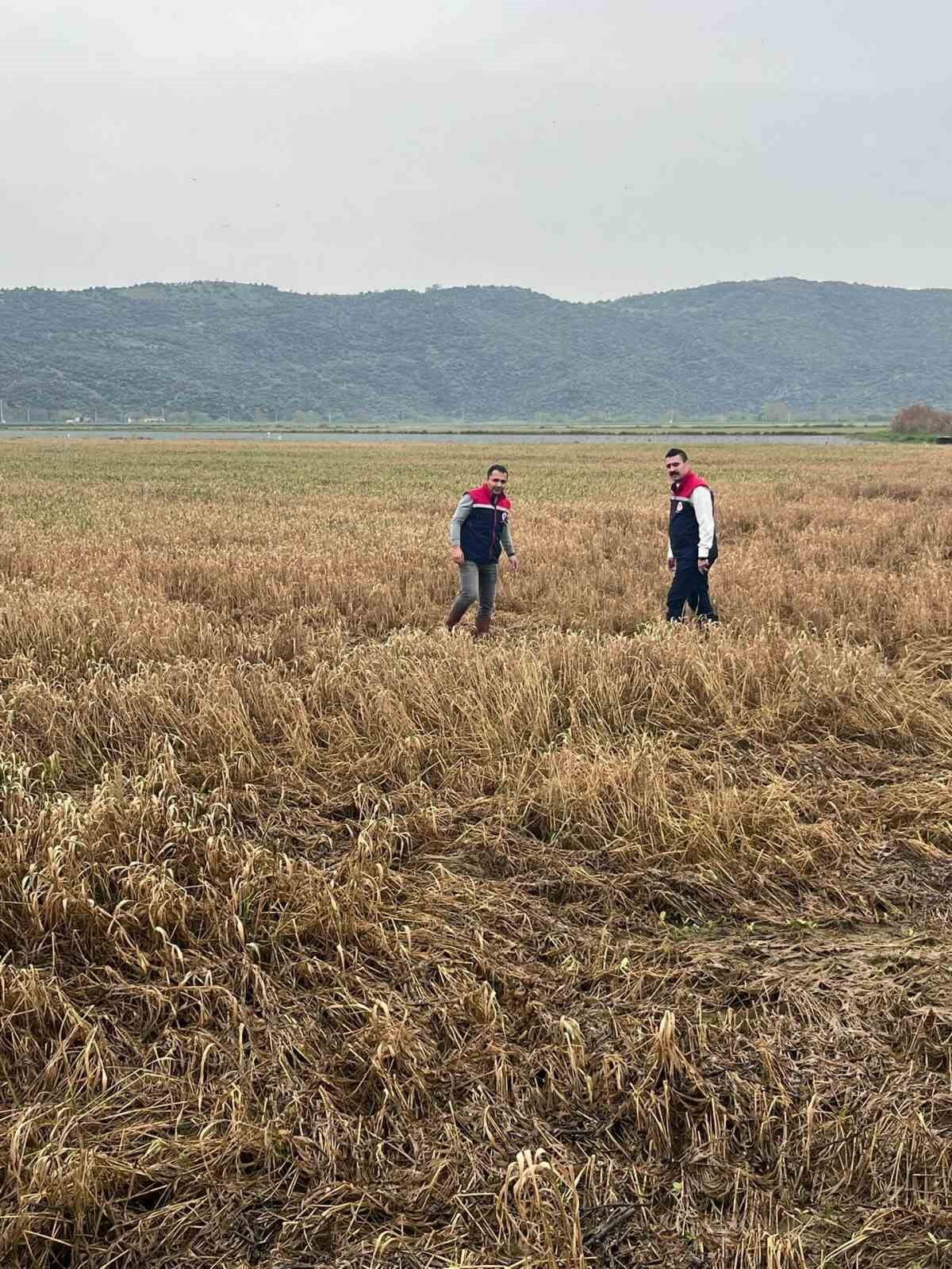 AYDIN'IN SÖKE İLÇESİNDE ETKİLİ OLAN YOĞUN YAĞIŞLARIN ARDINDAN MEYDANA GELEN NEHİR TAŞKINI VE SEL...