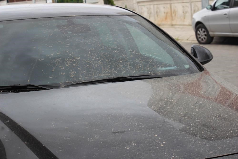 AYDIN’DA TOZ TAŞINIMI BEKLENİYOR