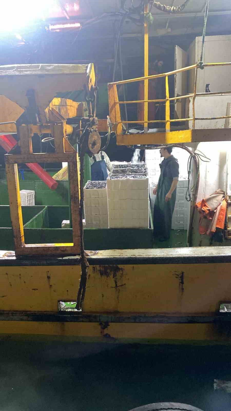 AYDIN’IN DİDİM İLÇESİNDE SU ÜRÜNLERİ KONTROL EKİPLERİNCE, HAMSİ KOTASI UYGULAMASI KAPSAMINDA...