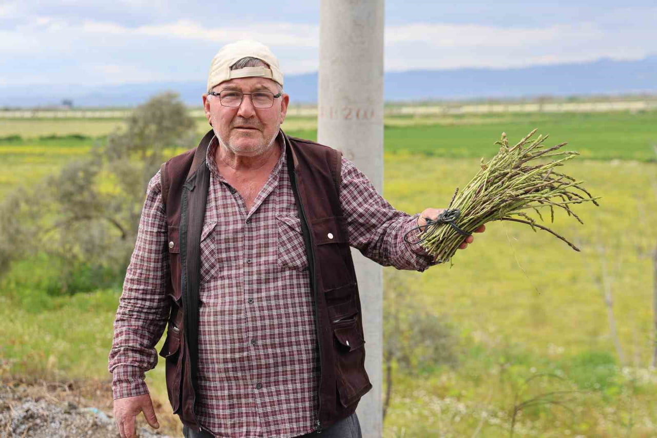 AYDIN’IN KOÇARLI İLÇESİNDE YAŞAYAN 61 YAŞINDAKİ EMEKLİ İLYAS AVCI DOĞAYA ÇIKARAK TOPLADIĞI...