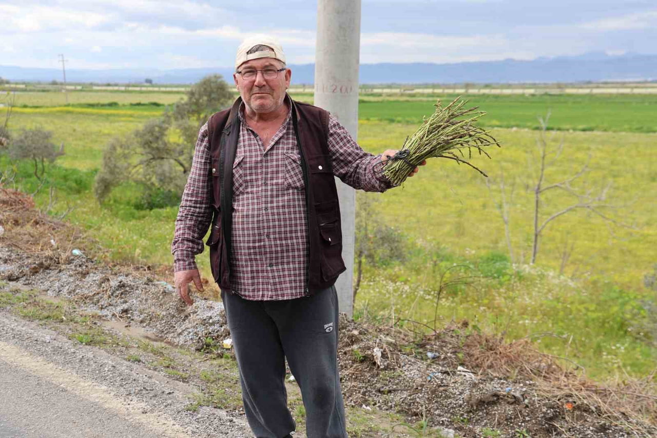 AYDIN’IN KOÇARLI İLÇESİNDE YAŞAYAN 61 YAŞINDAKİ EMEKLİ İLYAS AVCI DOĞAYA ÇIKARAK TOPLADIĞI...