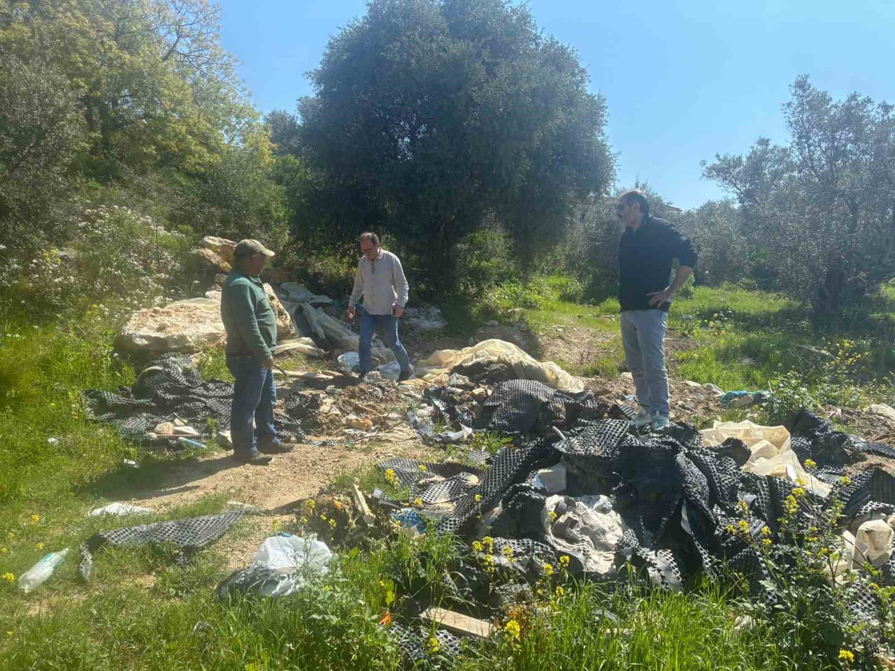 AYDIN’IN KUŞADASI İLÇESİNDE ENDEMİK TÜLÜŞAH BİTKİSİNİN BULUNDUĞU ALANLARDA TAHRİBAT TESPİT...