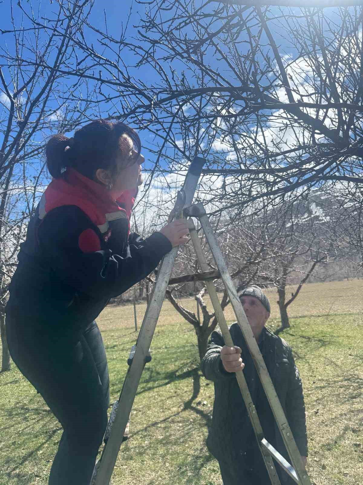 AYDINTEPE’DE MEYVE BAHÇELERİNDE BUDAMA UYGULAMASI SÜRÜYOR