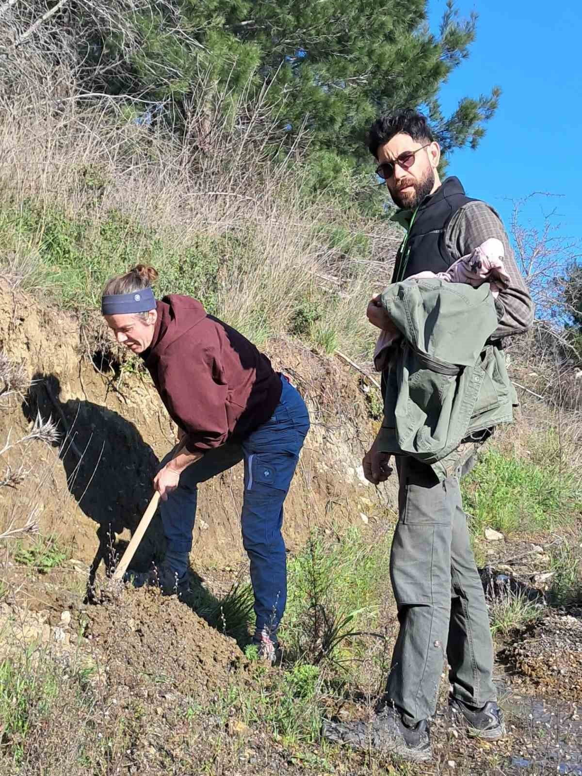 BAL ORMANINA YABANCI DESTEĞİ