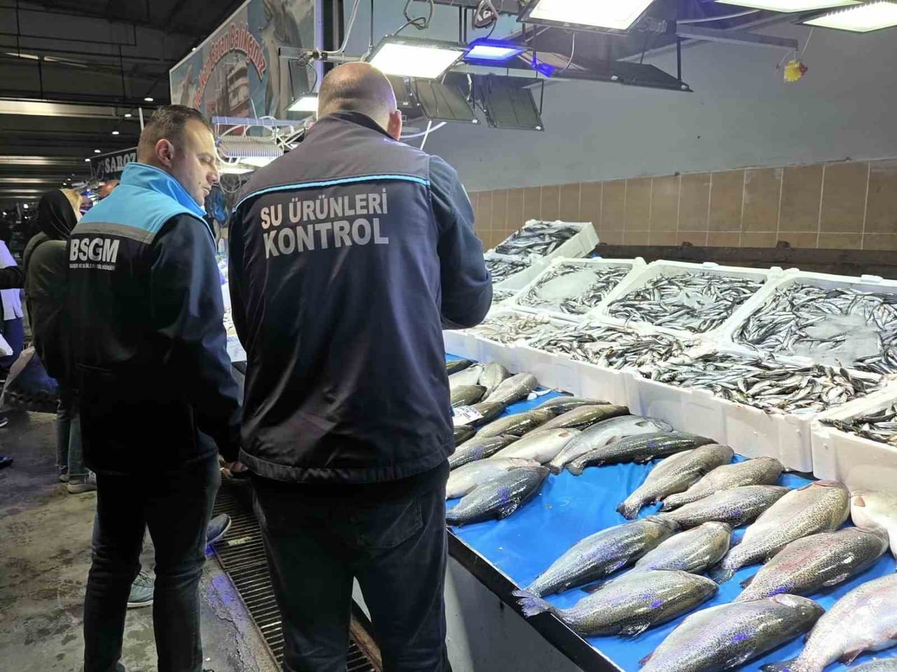 BALIKÇILIK VE SU ÜRÜNLERİ GENEL MÜDÜRLÜĞÜ İLE İL TARIM VE ORMAN MÜDÜRLÜĞÜ SU ÜRÜNLERİ KONTROL...