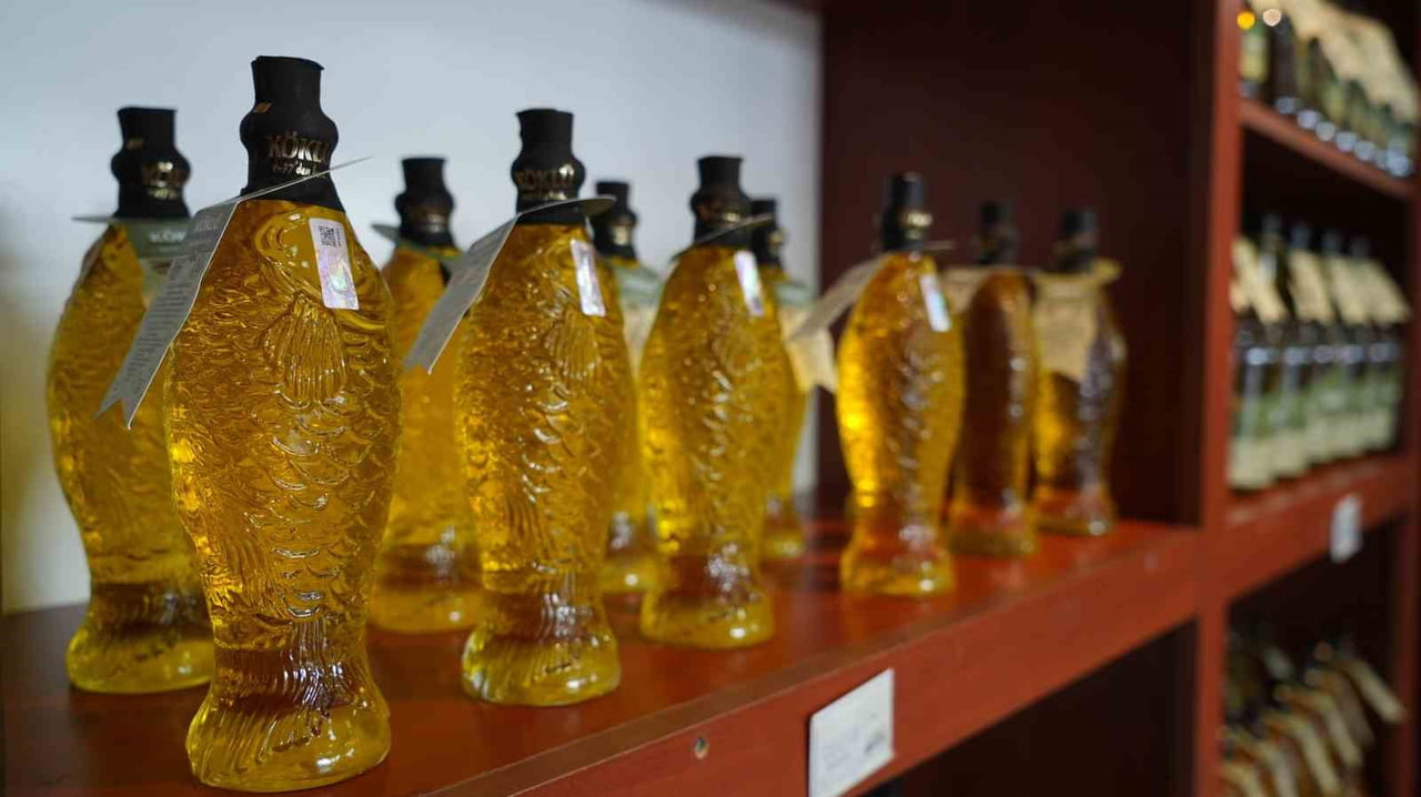 BALIKESİR SANAYİ ODASI GENÇ GİRİŞİMCİLER KURULU BAŞKAN YARDIMCISI, AYVALIK TİCARET ODASI GENÇ...