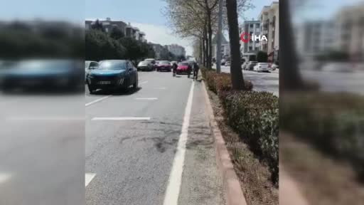 Başıboş atlar şehirde yolları mesken tuttu