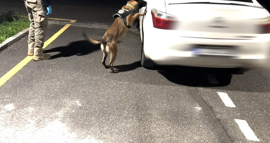 BATMAN'DA DÜZENLENEN OPERASYONDA 9 KİLO 400 GRAM SKUNK ELE GEÇİRİLİRKEN, OLAYA İLİŞKİN GÖZALTINA...