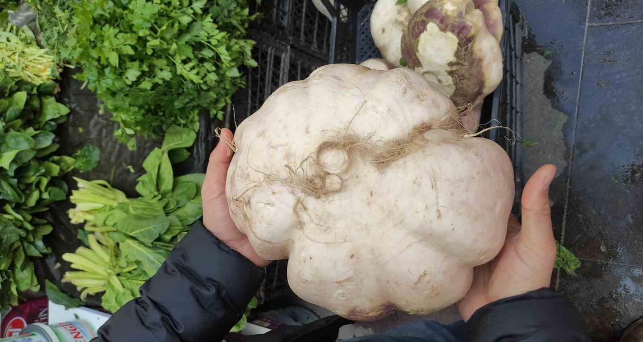 BATMAN’DA SEMT PAZARINDA TEZGÂHA KONULAN YAKLAŞIK 4 KİLOGRAM AĞIRLIĞINDAKİ DEV ŞELİM (TURP)...