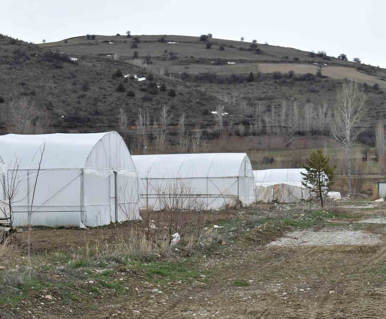 BAYBURT'TA SEBZE ÜRETİMİNE KATKI SAĞLAYACAK EKO-KÖY 2 PROJESİ HAYATA GEÇİYOR