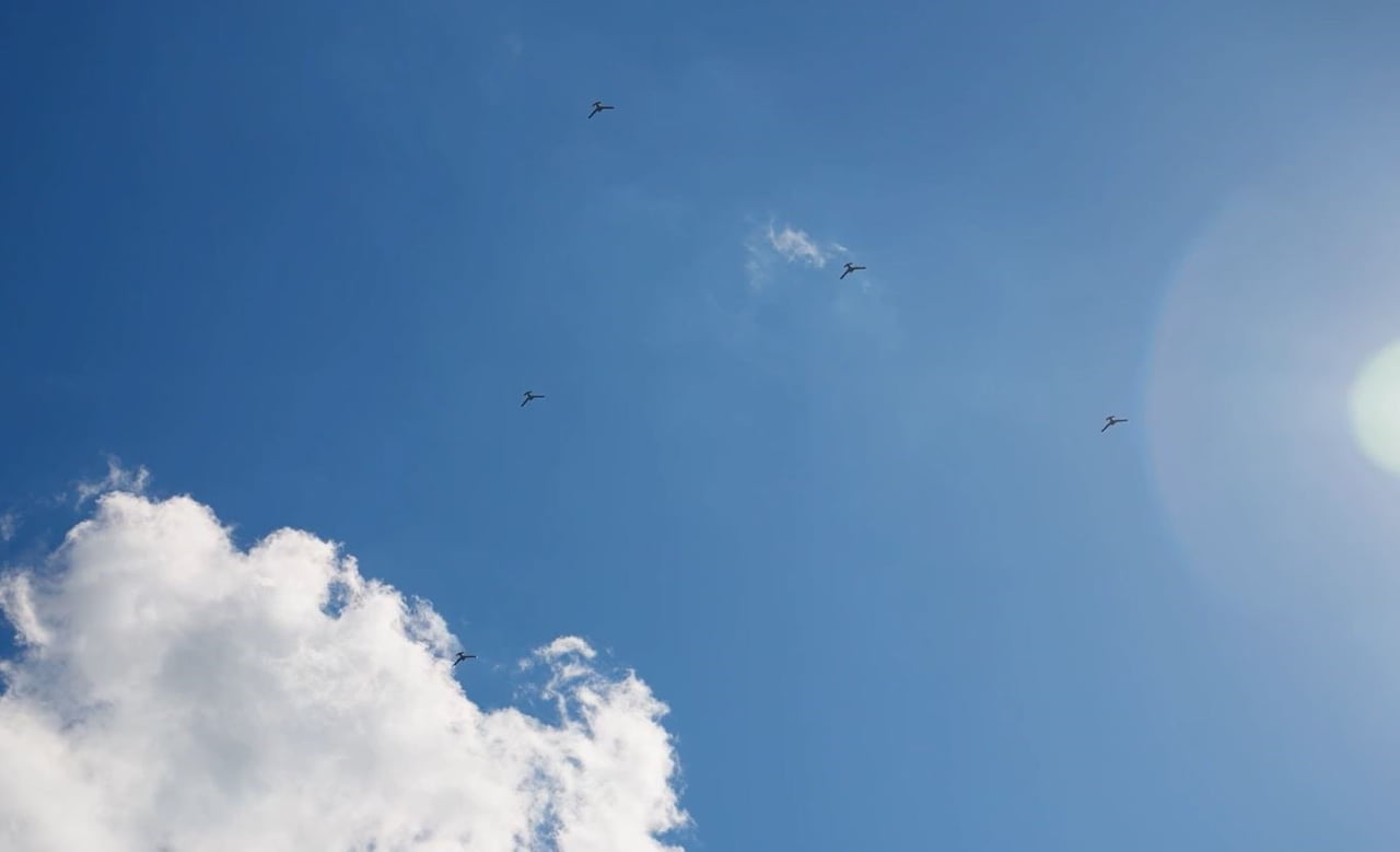 BAYKAR TARAFINDAN GELİŞTİRİLEN K2 KAMİKAZE İHA, YAPAY ZEKA OTONOM SÜRÜ UÇUŞ  VE HAVA DEVRİYE...