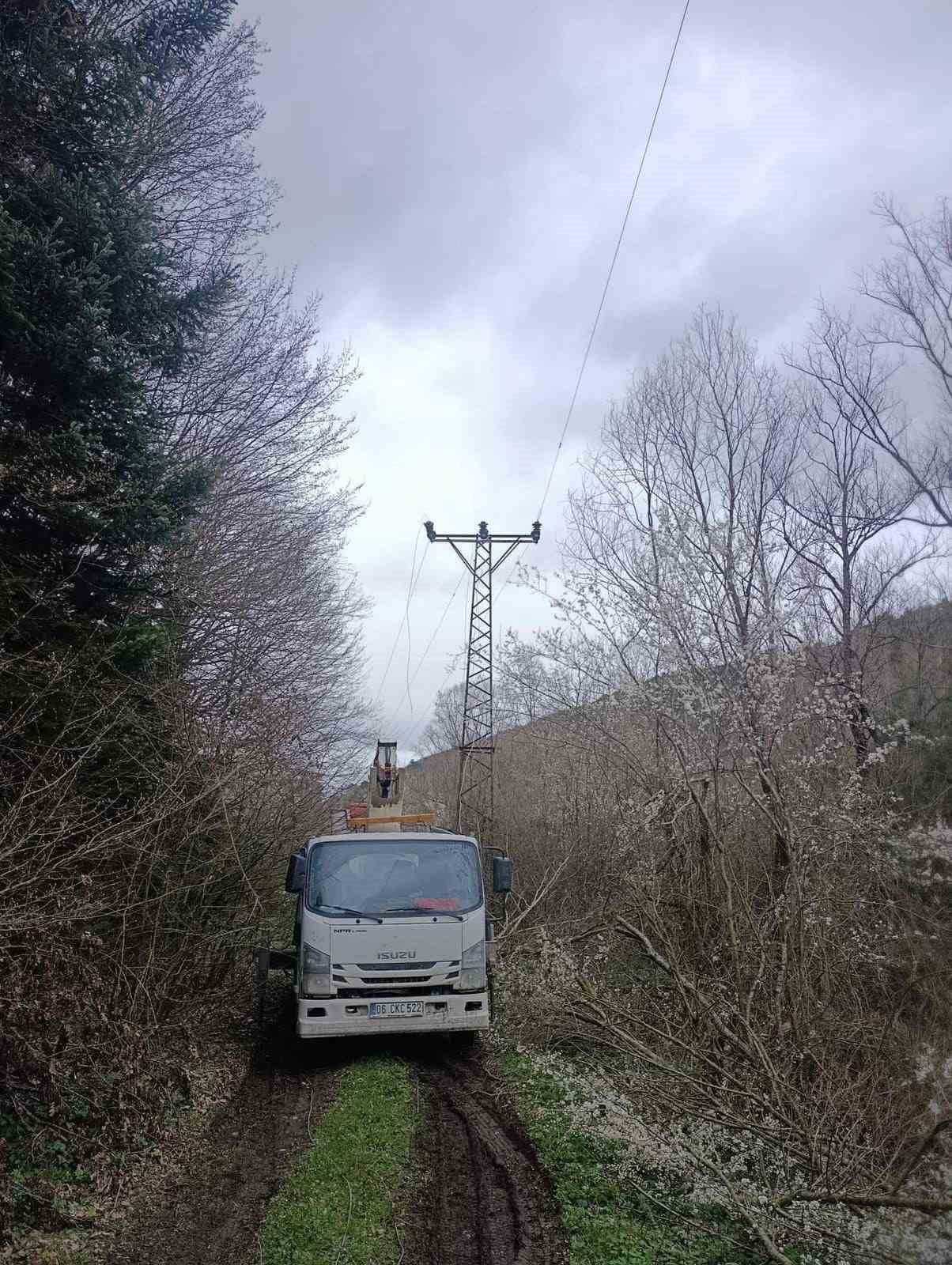 BİLECİK’İN BOZÜYÜK İLÇESİNDE YÜKSEK GERİLİM HATTINDAKİ ARIZAYI GİDERMEK İSTEYEN ENERJİ İŞÇİSİ...