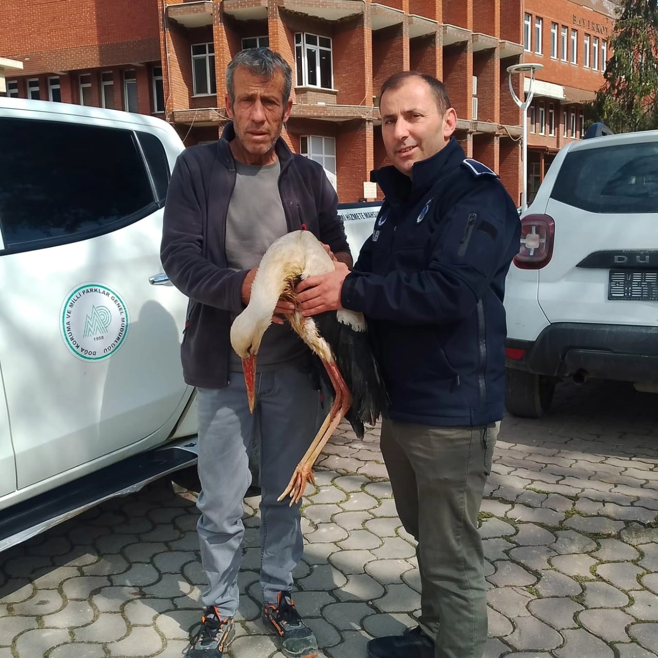 BİLECİK’TE YARALI LEYLEK KORUMA ALTINA ALINDI