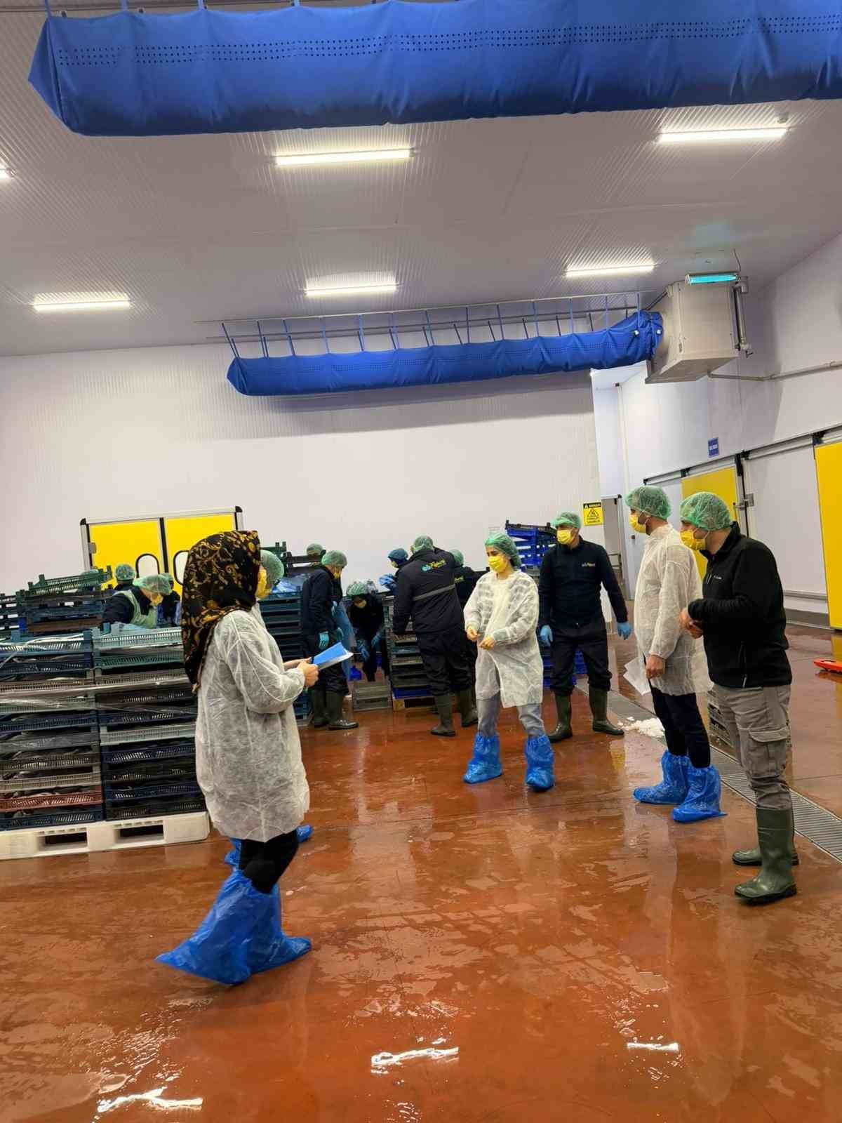 BİNGÖL’DE BALIK İŞLEME TESİSLERİ DENETLENDİ