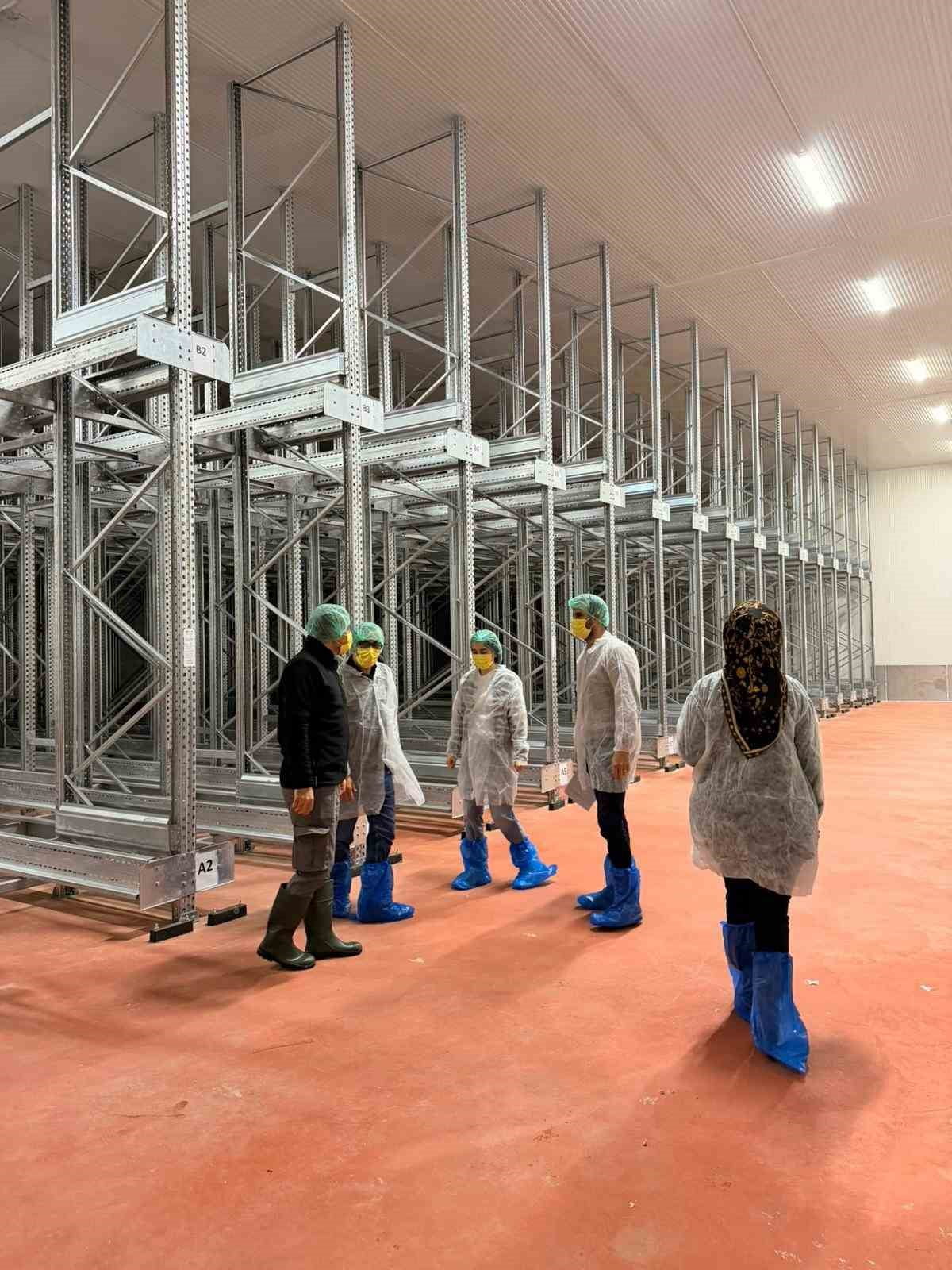 BİNGÖL’DE BALIK İŞLEME TESİSLERİ DENETLENDİ