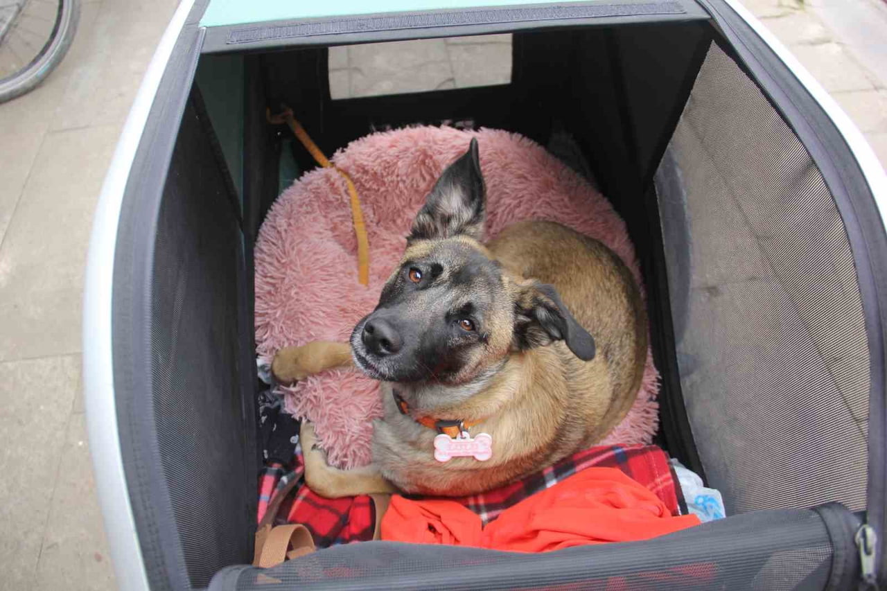 BİSİKLETLERİYLE 2022 YILINDA DÜNYA TURU YAPMAK ÜZERE İSPANYA'DAN YOLA ÇIKAN ÇİFT, KAZAKİSTAN'DA...