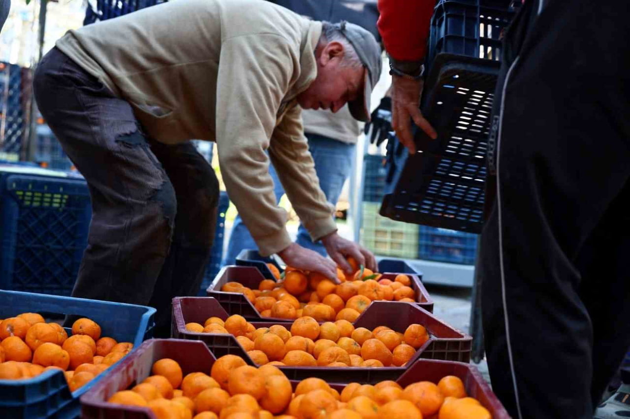 BODRUM BELEDİYESİ, YEREL ÜRETİMİ DESTEKLEME VE BÖLGENİN TARIMSAL DEĞERLERİNİ ÖNE ÇIKARMA HEDEFİ...