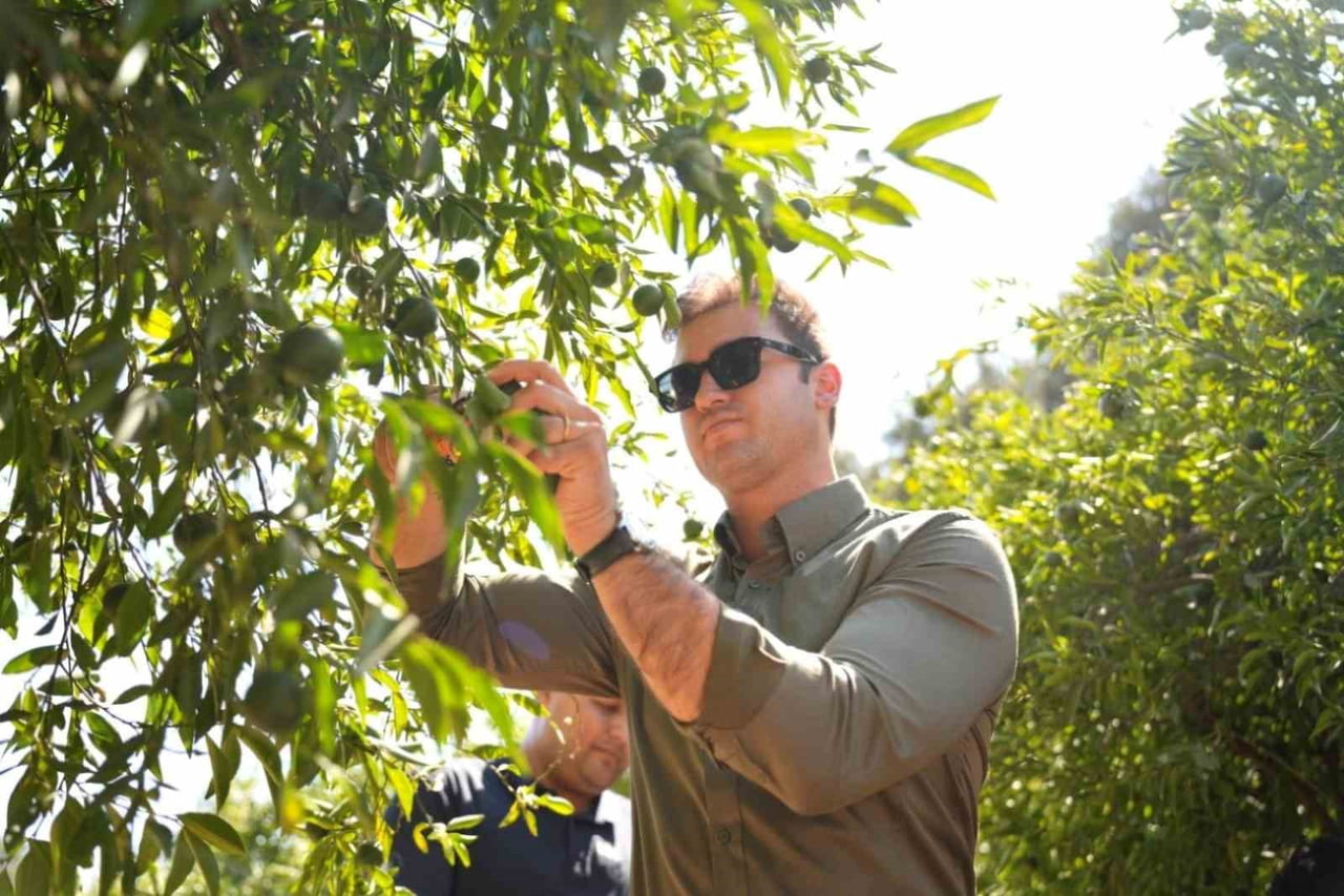 BODRUM BELEDİYESİ, YEREL ÜRETİMİ DESTEKLEME VE BÖLGENİN TARIMSAL DEĞERLERİNİ ÖNE ÇIKARMA HEDEFİ...