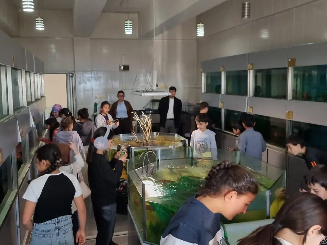 BOYABAT İLÇESİNDE ORTAOKUL ÖĞRENCİLERİ KENTİN TARİHİ, KÜLTÜREL VE BİLİMSEL MERKEZLERİNİ ZİYARET...