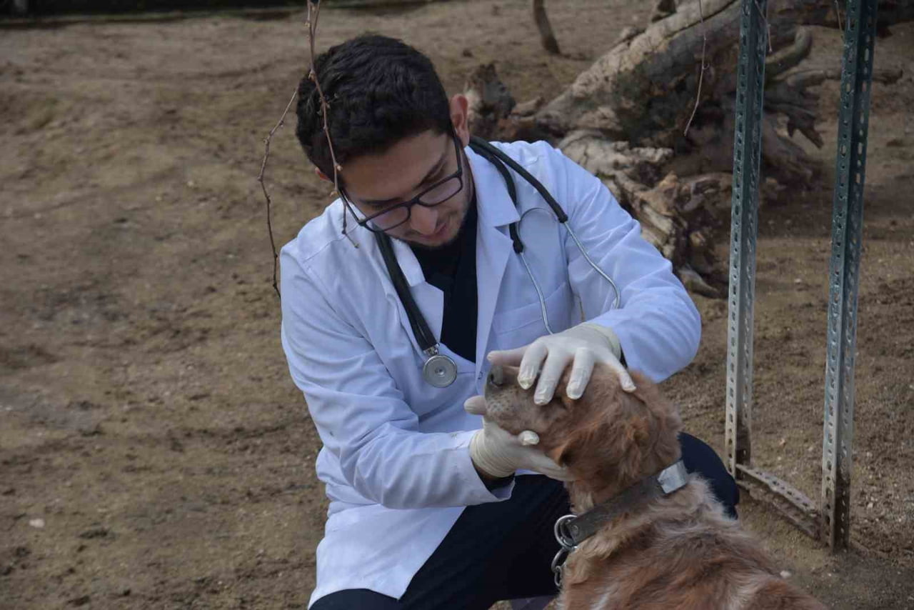 BOZÜYÜK BELEDİYESİNDE AİT BARINAKTA YAŞANAN FACİANIN ARDINDAN BİLECİK BELEDİYESİNE AİT...