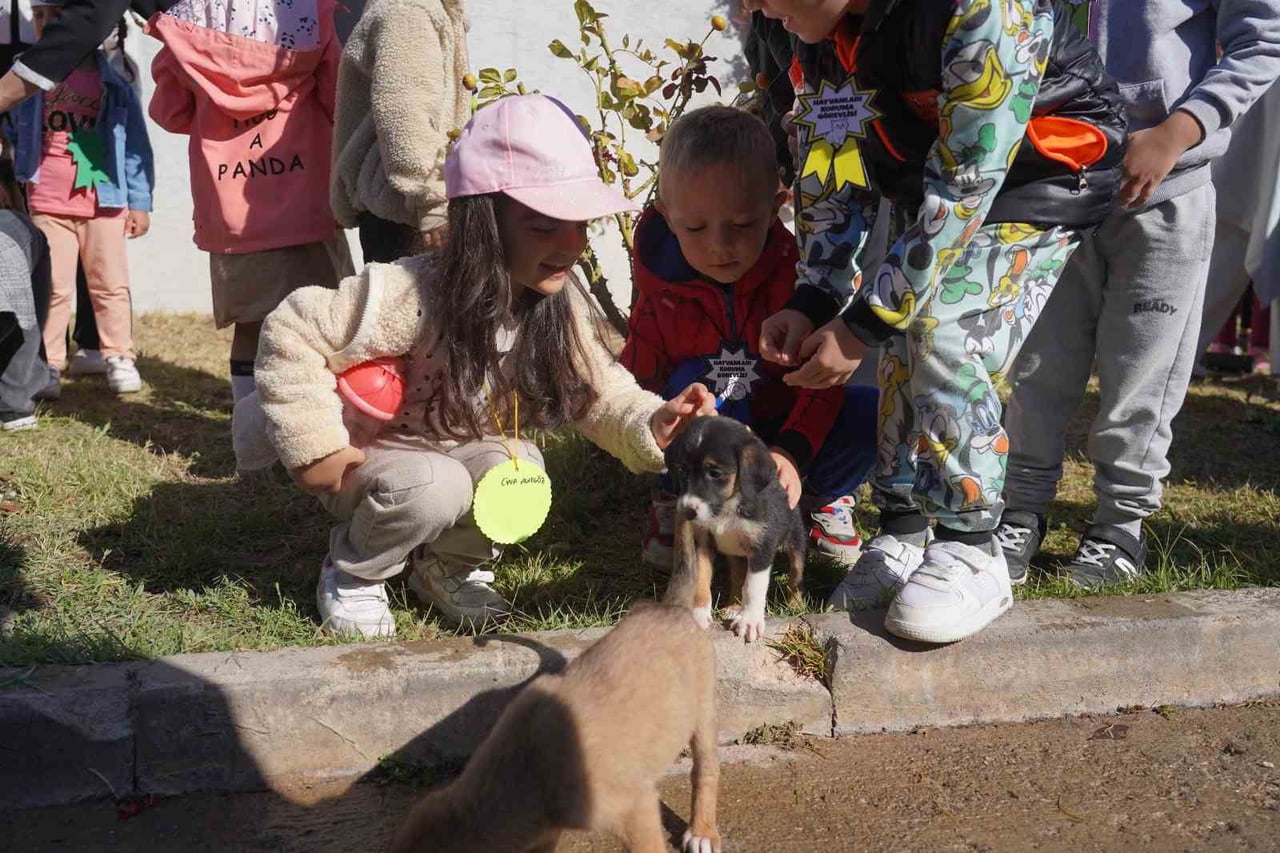 BOZÜYÜK BELEDİYESİNDE AİT BARINAKTA YAŞANAN FACİANIN ARDINDAN BİLECİK BELEDİYESİNE AİT...