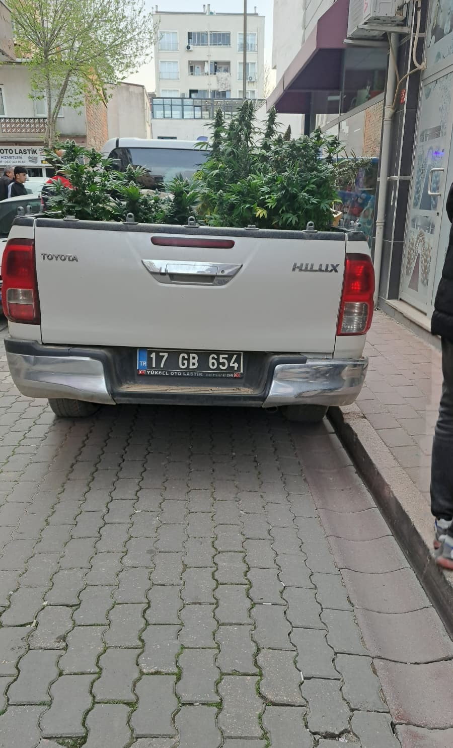 ÇANAKKALE'NİN ÇAN İLÇESİNDE APARTMAN DAİRESİNDE UYUŞTURUCU YETİŞTİREN U.U. JANDARMA EKİPLERİNCE...