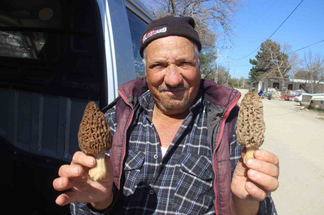 ÇANAKKALE'NİN SINIRLARI İÇERİSİNDE KALAN KAZDAĞLARI’NIN ETEKLERİNDEKİ BAYRAMİÇ DAĞ KÖYLERİNDEKİ...