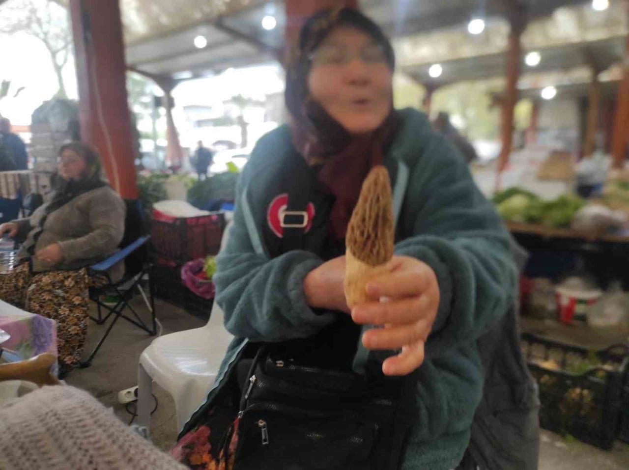 ÇANAKKALE'NİN SINIRLARI İÇERİSİNDE KALAN KAZDAĞLARI’NIN ETEKLERİNDEKİ BAYRAMİÇ DAĞ KÖYLERİNDEKİ...