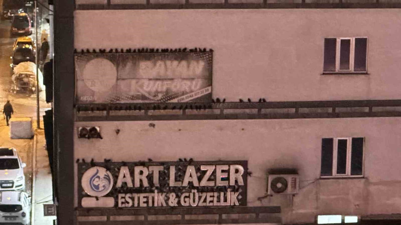 CENGİZ TOPEL CADDESİ ÜZERİNDE YER ALAN BİR OTEL İLE YANINDAKİ İŞ MERKEZİNİN DIŞ CEPHESİ...