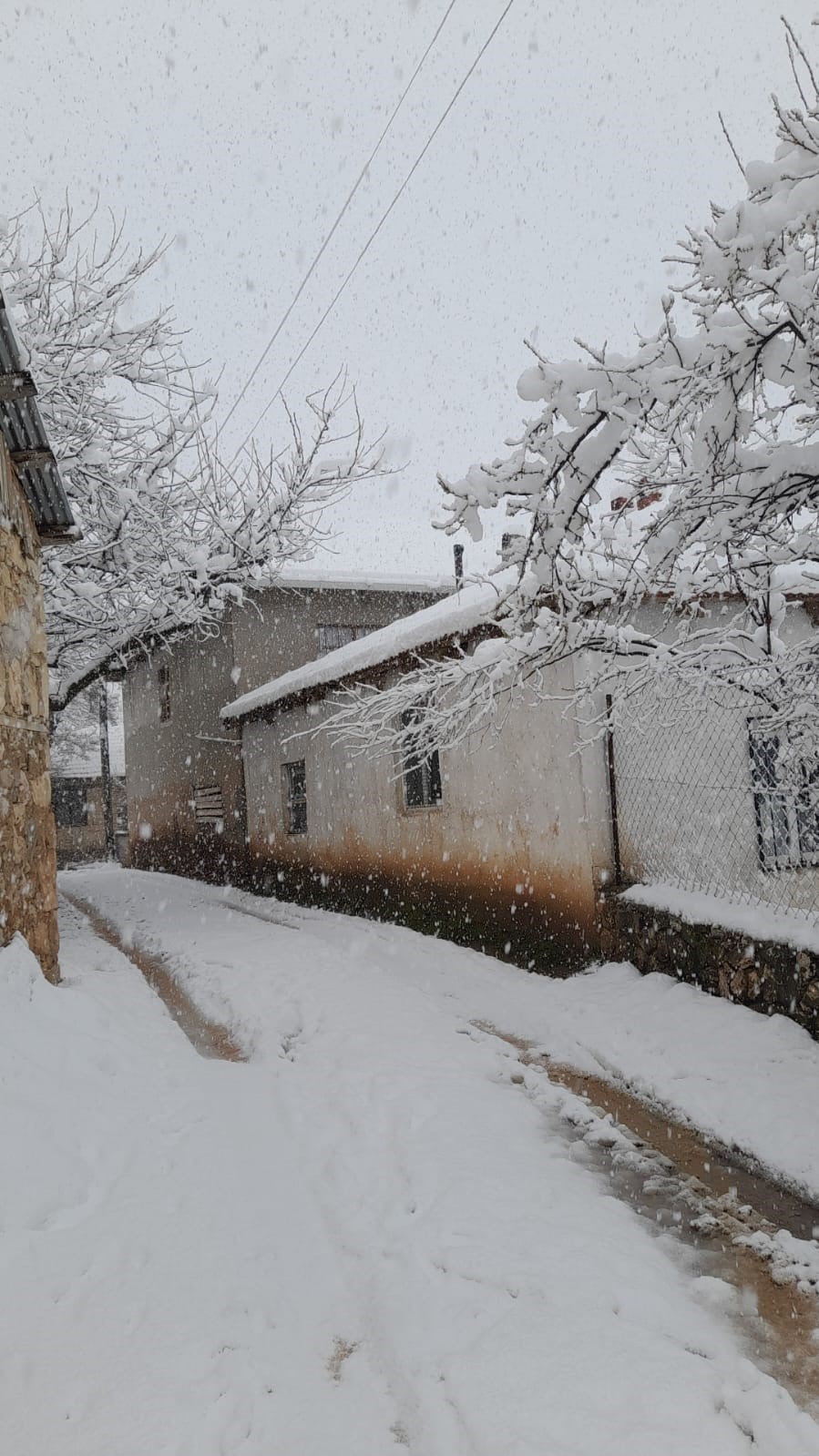 DENİZLİ’DE ETKİLİ OLAN SOĞUK VE YAĞIŞLI HAVA, YÜKSEK RAKIMLI BÖLGELERDE KAR YAĞIŞINI BERABERİNDE...