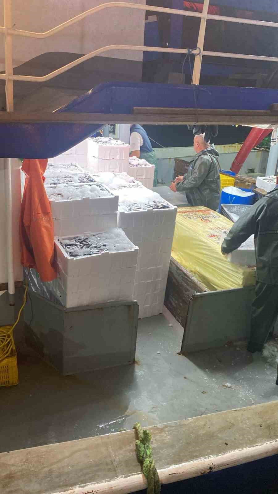 DİDİM İLÇE TARIM VE ORMAN MÜDÜRLÜĞÜ SU ÜRÜNLERİ KONTROL EKİPLERİ TARAFINDAN, HAMSİ KOTASI...