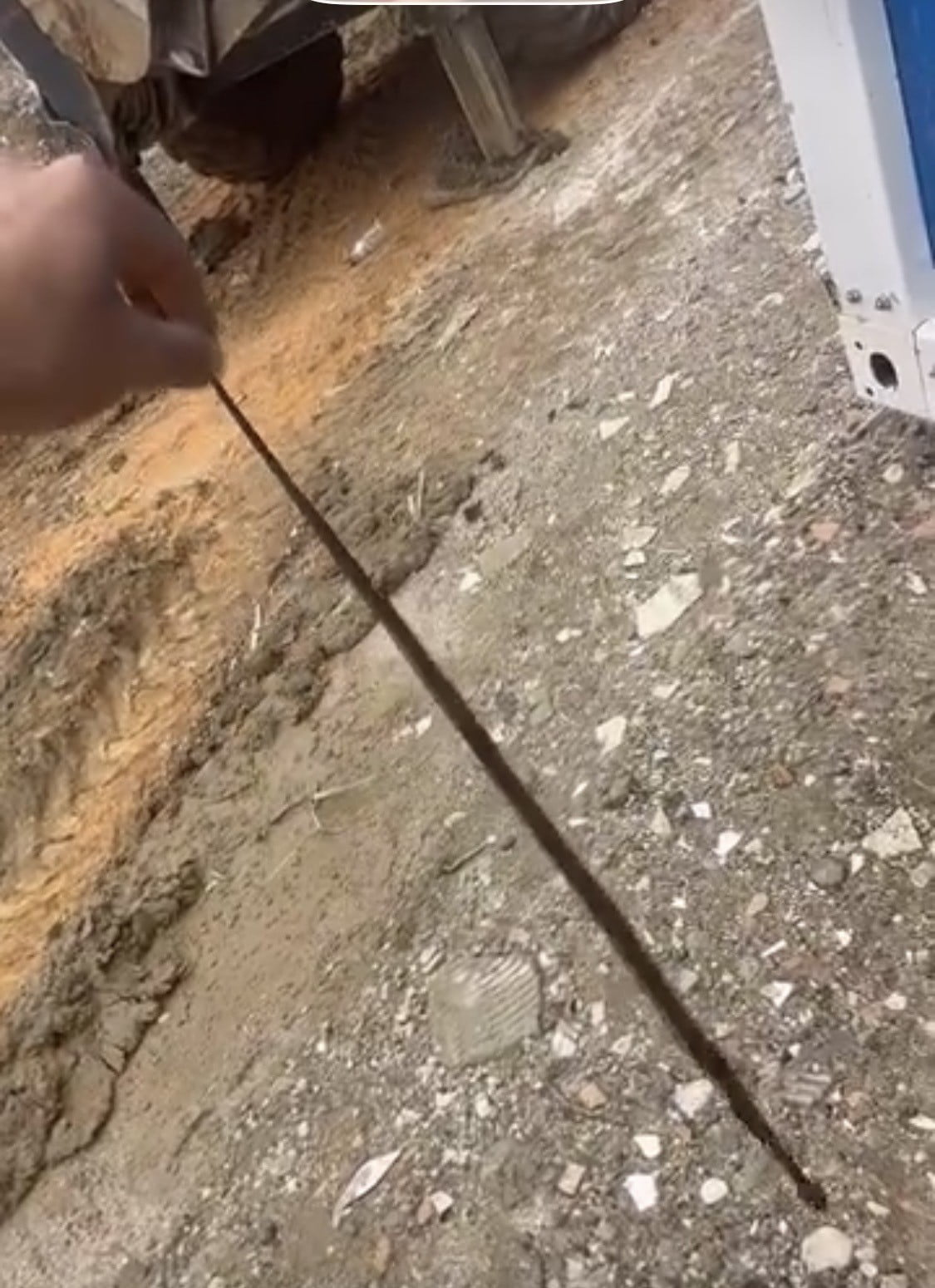 DİYARBAKIR'IN ÇERMİK İLÇESİNDE KIŞ UYKUSUNDAN UYANAN YAKLAŞIK 1 METRE UZUNLUĞUNDAKİ YILAN...