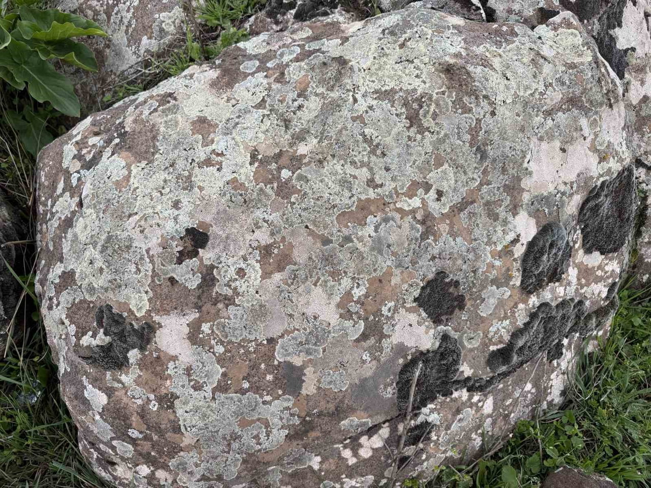 DİYARBAKIR'IN ÇERMİK İLÇESİNDE VATANDAŞLAR, YAĞIŞLA BİRLİKTE TAŞLAR ÜZERİNDE MEYDANA GELEN YOSUNSU...