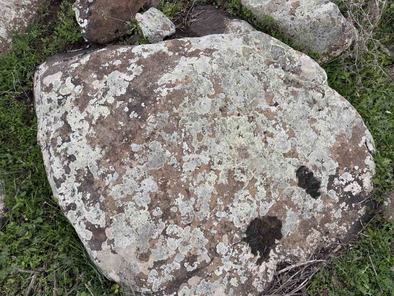 DİYARBAKIR'IN ÇERMİK İLÇESİNDE VATANDAŞLAR, YAĞIŞLA BİRLİKTE TAŞLAR ÜZERİNDE MEYDANA GELEN YOSUNSU...