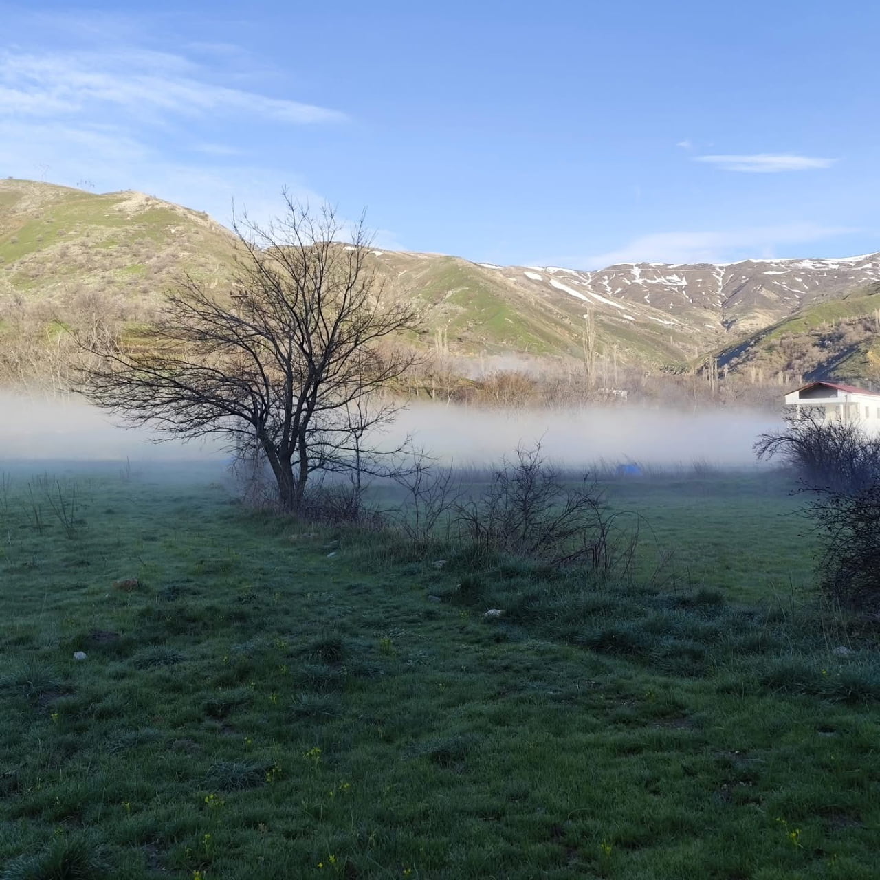 DİYARBAKIR’IN ÇÜNGÜŞ İLÇESİ ELYOS MAHALLESİ'NDE OLUŞAN SİS, ORTAYA SEYRİNE DOYUMSUZ MANZARA...