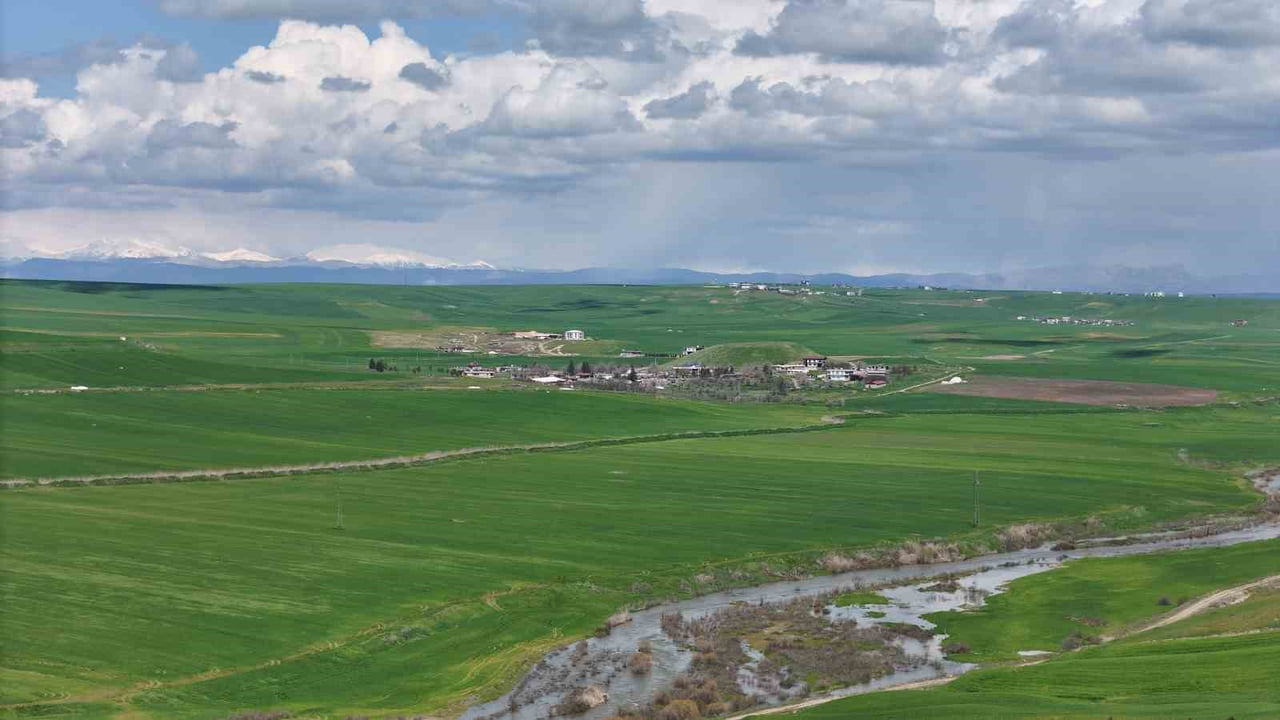 DİYARBAKIR’IN SUR İLÇESİNDE 250 DÖNÜM EKİLİ BUĞDAY TARLASI, İDDİAYA GÖRE SAHİBİNİN AKRABALARI...