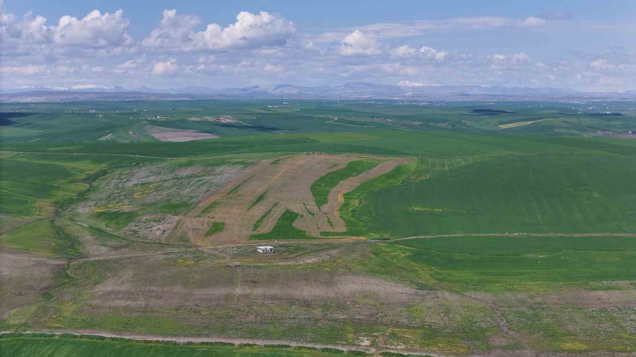DİYARBAKIR’IN SUR İLÇESİNDE 250 DÖNÜM EKİLİ BUĞDAY TARLASI, İDDİAYA GÖRE SAHİBİNİN AKRABALARI...