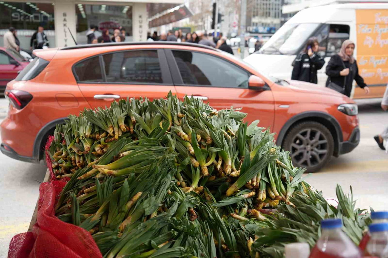 DOĞAL ANTİBİYOTİK ÇİRİŞ OTU ERZİNCAN TEZGAHLARINDA YERİNİ ALDI