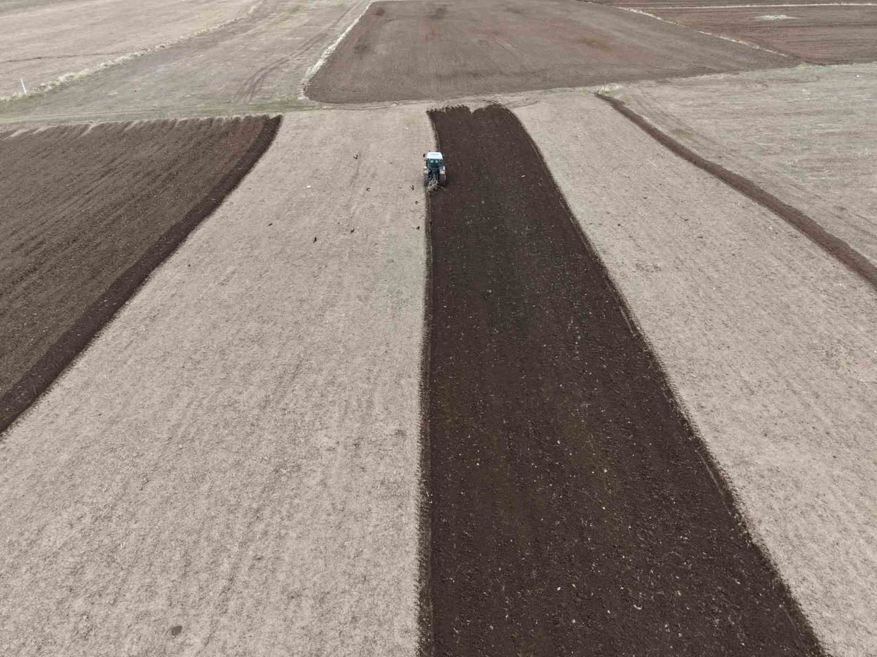 DOĞU ANADOLU'NUN ÖNEMLİ TARIM MERKEZLERİNDEN IĞDIR'DA, KIŞ MEVSİMİNİN ARDINDAN EKİN SEZONU...