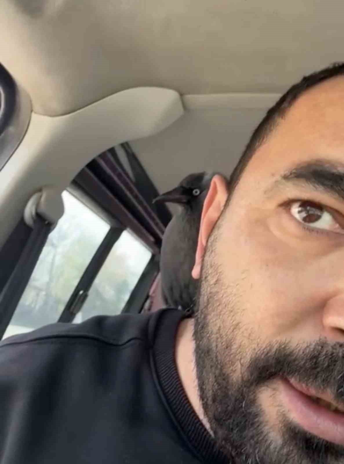 DÜZCE'DE SEYİR HALİNDEKİ OTOMOBİLİN SİLECEĞİNE, ARDINDAN DA AÇIK CAMDAN İÇERİ SÜZÜLEREK SÜRÜCÜNÜN...