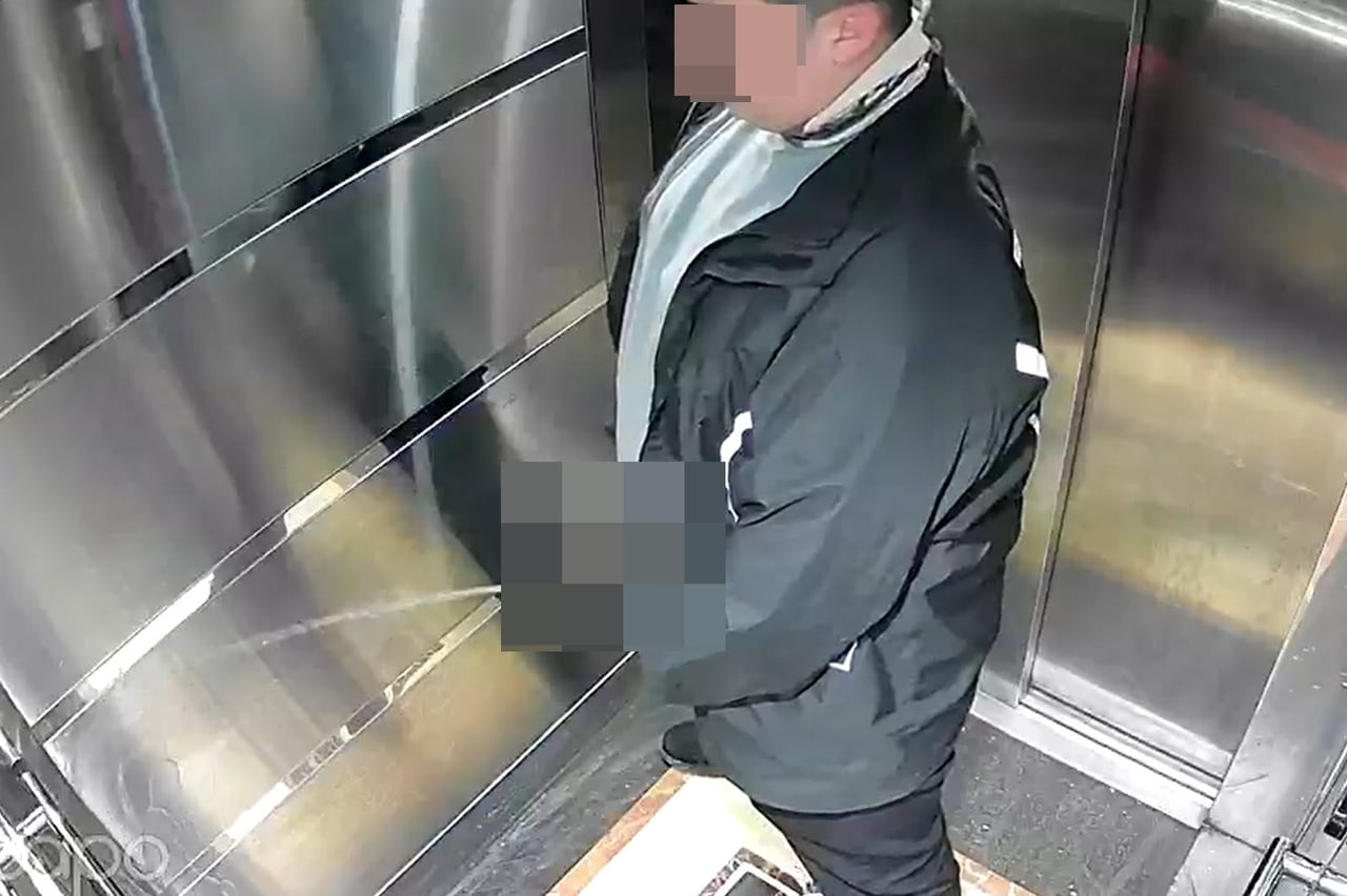 DÜZCE'DE SİPARİŞ EDİLEN PİZZANIN ÜSTÜNDEKİ MALZEMELERİ YİYEN KURYE ARDINDAN ASANSÖRE TUVALETİNİ...