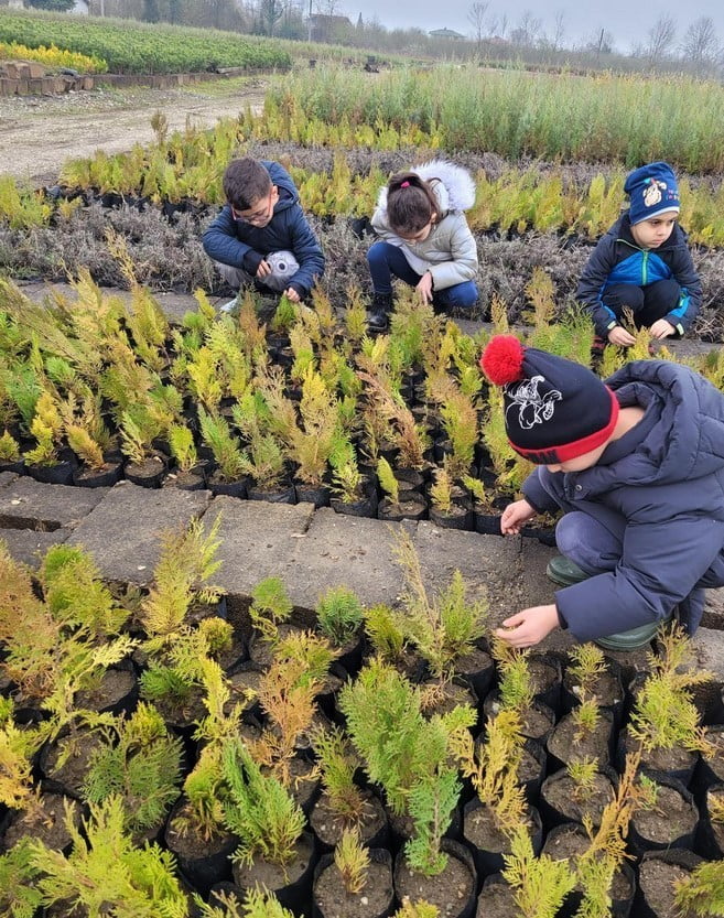 DÜZCE BAHÇEŞEHİR KOLEJİ ANAOKULU ÖĞRENCİLERİ, DÜZCE ORMAN İŞLETME MÜDÜRLÜĞÜ PINAR FİDANLIĞINI...