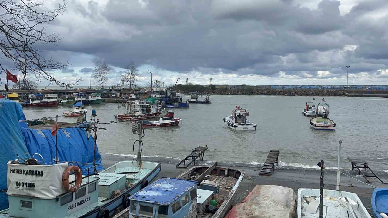 DÜZCE İL TARIM VE ORMAN MÜDÜRLÜĞÜ DENİZLERDE SU ÜRÜNLERİ AV YASAĞI 15 NİSAN 2026 TARİHİNDE...