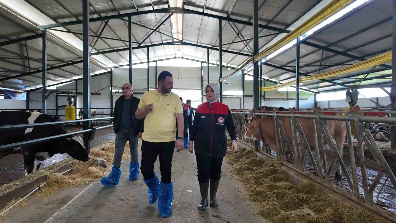 DÜZCE İL TARIM VE ORMAN MÜDÜRLÜĞÜ TARAFINDAN HAYVAN SAĞLIĞININ KORUNMASI, GÜVENİLİR GIDA...